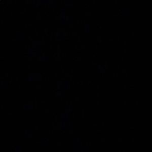 Meet your Posher, Ariel